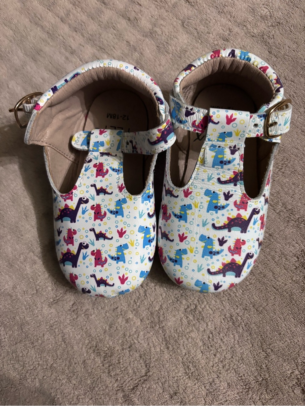 Monkey Feet T-Strap Shoes with Colorful Dinosaur Print-EUC 12-18 MONTHS